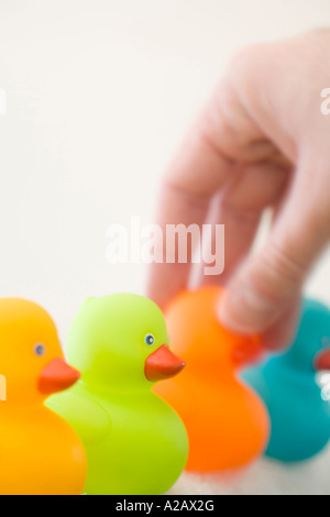 Mans Hand setzen eine orange Gummiente in Folge Stockfoto