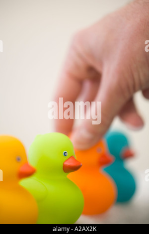 Mans Hand setzen eine orange Gummiente in Folge Stockfoto