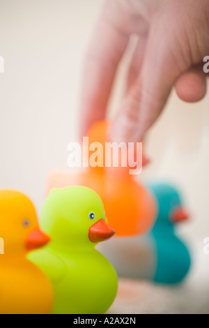 Mans Hand setzen eine orange Gummiente in Folge Stockfoto