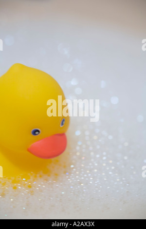 Eine gelbe Gummiente sitzen in den Sprechblasen Stockfoto