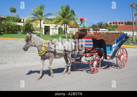 Maultier ziehen einen hölzerne offenen oberen Wagen, Guardalavaca, Provinz Holguin, Kuba Stockfoto