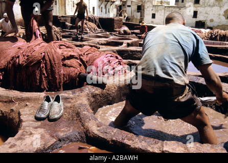 Ein Mann, der arbeitet im Becken in den Gerbereien Fes, Marokko Stockfoto