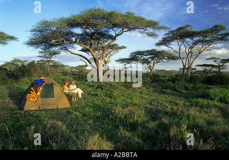 Str MR08 günterele, Zelt in den Akazien Wald in der Nähe von Lake Ndutu, Serengeti Nationalpark, Tansania Stockfoto