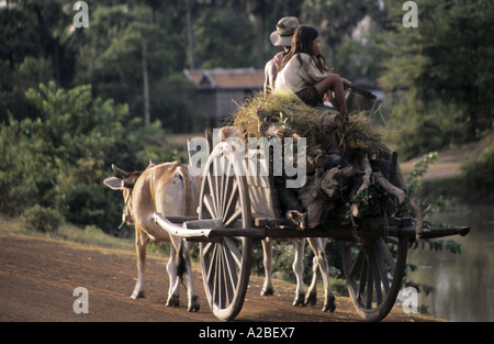 Bauern auf einem Ochsenkarren nach Hause entlang eines Sees, Kambodscha. Stockfoto