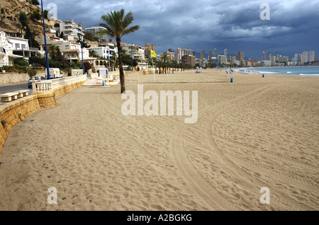 Direkt am Meer Benidorm Alicante Alacant Valencia Comunitat Comunidad Valenciana Costa Blanca Spanien iberischen Halbinsel España Europa Stockfoto