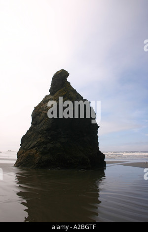 Ein Meer-Stack ragt aus dem Sand der Ruby Beach auf Washingtons Olympic Halbinsel Stockfoto