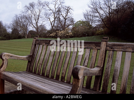 Holzbank im Hyde Park im Winter, London, Vereinigtes Königreich Stockfoto