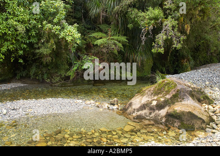 Fox River Paparoa Nationalpark Westküste Südinsel Neuseeland Stockfoto