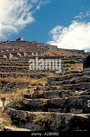 Terrassen von Machu Picchu In Peru Stockfoto