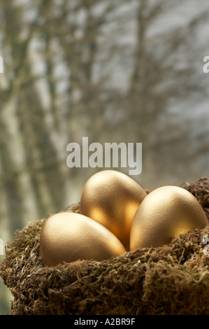 DREI GOLDENE EIERN IM VOGELNEST MIT BAUM IM HINTERGRUND Stockfoto