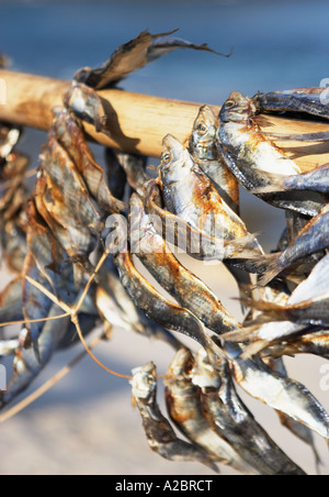 Indonesien, trocknen Fisch Stockfoto