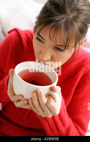 Kräuter-Tee Stockfoto