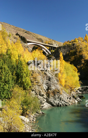 Herbstfärbung und Brücke über Kawarau River Kawarau Gorge Südinsel Neuseeland Stockfoto