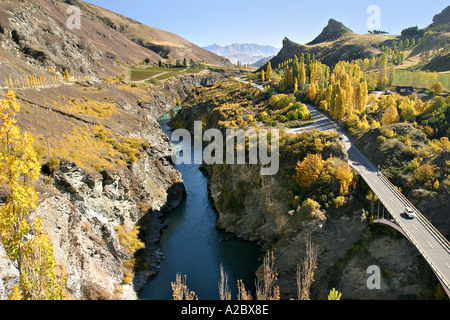 Herbstfärbung und Brücke über Kawarau River Kawarau Gorge Südinsel Neuseeland Stockfoto