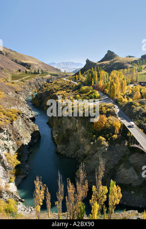 Herbstfärbung und Brücke über Kawarau River Kawarau Gorge Südinsel Neuseeland Stockfoto