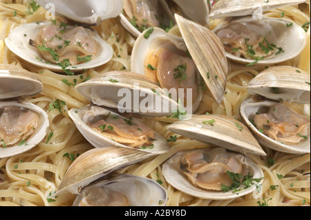 Teller mit vielen Muscheln Detail Meeresfrüchte Stockfoto