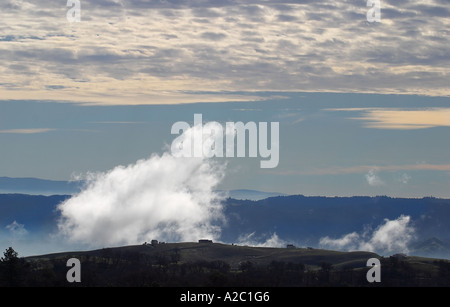 Morgennebel im Henry Coe State Park Stockfoto