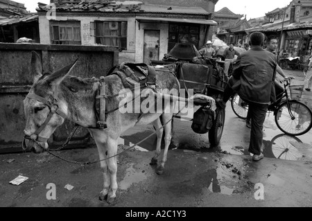 China Shanxi Datong Mann liefert Kohle mit einem Wagen, gezogen von einem Esel Stockfoto