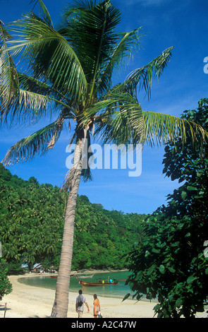 Palme auf den Strand von Ko Phi Phi Don in Thailand Stockfoto