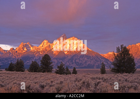 Teton Range mit Grand Teton Peak (4197 m) inmitten der höchste Berg im Park, zweithöchste in Wyoming Stockfoto