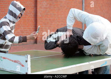 zwei Jungen kämpfen und gefilmt von einem anderen Stockfoto