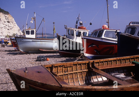 Bier, East Devon, Angelboote/Fischerboote sind vom Traktor bis zum Strand, frei von jedem Seegang Sicherheit geschleppt. GPL 4473-408 Stockfoto