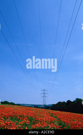 Stromleitungen und Mohnfeld in England Stockfoto