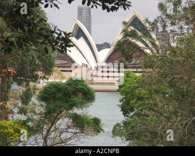 Sydney Opera House durch die Bäume-Sydney-Australien Stockfoto