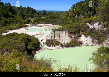 Pfanne flach an die Wai-O-Tapu thermal Wonderland, Rotorua, Nordinsel, Neuseeland Stockfoto