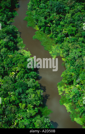 Luftbild des Flusses in Aue Regenwald in Brasilien Marajo Insel Amazonas-Mündung Stockfoto