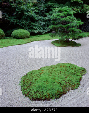 Eine Tanne und Moos umgeben von geharkt Kies im Tenjuan Garten in nanzen-Tempel in Kyoto, Japan Stockfoto