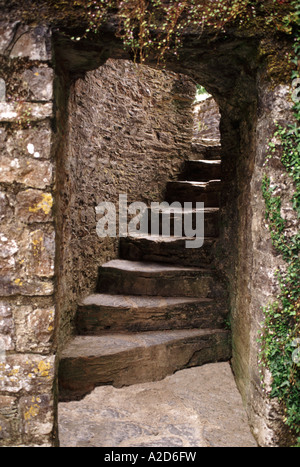 BERRY POMEROY CASTLE. DEVON. ENGLAND. UK Stockfoto