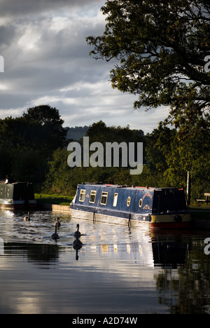 Eine schmale Boot auf dem Kennet und Avon Kanal in der Nähe von Bath in England Stockfoto