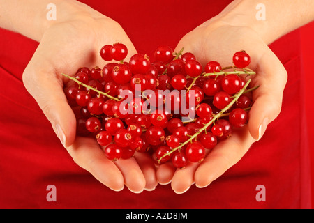 FRAU MIT ROTEN JOHANNISBEEREN Stockfoto