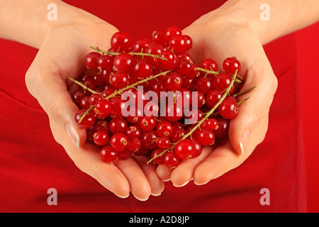 FRAU MIT ROTEN JOHANNISBEEREN Stockfoto