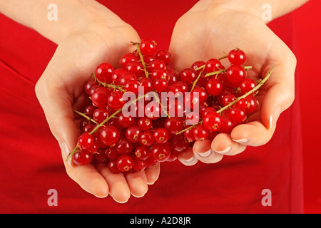 FRAU MIT ROTEN JOHANNISBEEREN Stockfoto