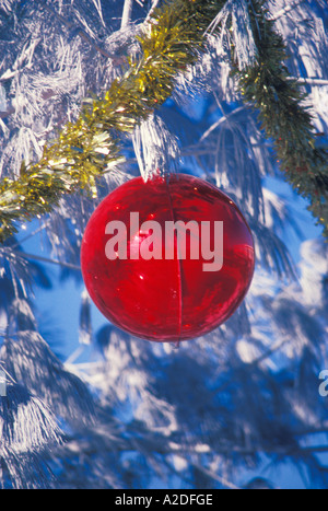 Ein roter Glaskugel ornament hängt außerhalb von Verschneiten dekoriert immergrüne Zweig, der mit gold Lametta für Weihnachten, Misouri USA dekoriert ist Stockfoto