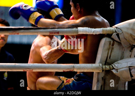 Muay Thai in Chang Mai, Thailand Stockfoto