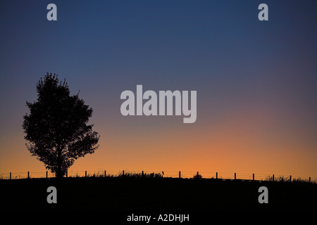 Sonnenuntergang in Oxfordshire auf gepflügten Feldrand Stockfoto