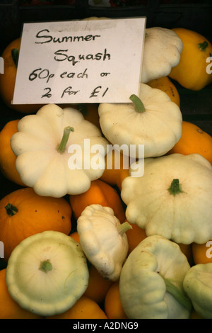 Goachers Farm Pattipan Squash Pattison Blanc Patty Pan A Saucer geformt weiße Zucchini Stockfoto