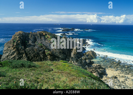 Die tückischen Sugarloaf Point in Seal Rocks im Myall Lakes National Park auf der Mitte Nord Küste von New South Wales Australia Stockfoto