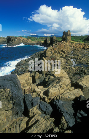 Perm-Ära Basaltlava mit einem Einbruch oder Deich dunkler Rock in der Nähe von Bombo Strand Kiama Illawarra New South Wales Australien Stockfoto