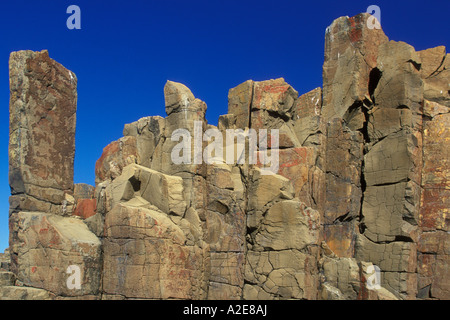 Säulenartige Strukturen während der Abkühlung von Permian Ära Basaltlava in der Nähe von Bombo Strand Kiama Illawarra New South Wales Australien Stockfoto