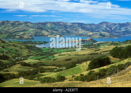 Akaroa Harbour auf Banken Halbinsel malerischen Vorgebirge Süden westlich von Christchurch Canterbury Südinsel Neuseeland Stockfoto