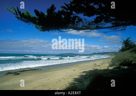 Kaitiki Strand mit Blick nach Süden in Richtung Shag Point südlich von Oamaru Otago Südinsel Neuseeland Stockfoto