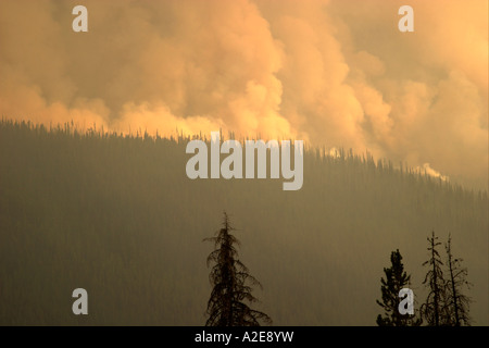Die Glut eines Waldbrandes zu brechen über einen Grat von der Sporn Peak Wildfire in North Central Washington State erhebt sich über Stockfoto