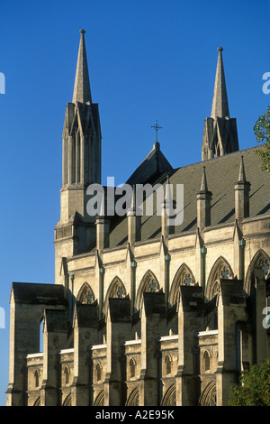 Die Neo-gotische St. Pauls Cathedral auf Octagon im Zentrum Stadt Dunedin Otago Südinsel Neuseelands Stockfoto