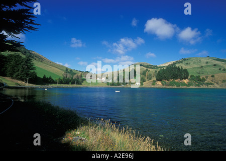 Die Gewässer des Otago Harbour und die malerische Natur reich Otago Halbinsel in der Nähe von Dunedin Otago Südinsel Neuseeland Stockfoto