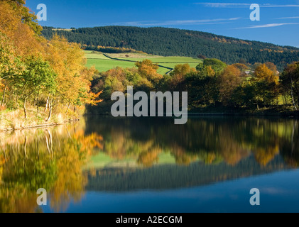 Macclesfield Wald spiegelt sich in der Tegg Nase Reservoir im Herbst, in der Nähe von Langley, Cheshire, England, UK Stockfoto