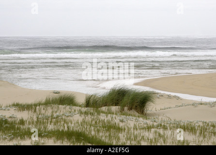 Sand-Dünen Buffels Bay, Western Cape, Südafrika Stockfoto